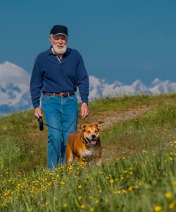Old man walking dog on hillside of grass and yellow flowers