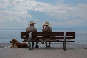 Couple on bench at beach with their dog